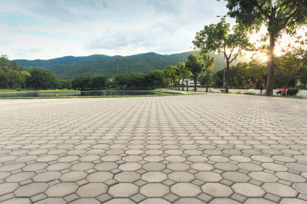 Best Residential Paver Driveway  in Union Springs, NY